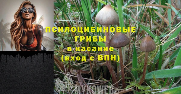 марки lsd Алзамай